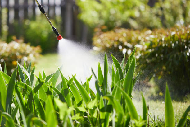 24/7 Emergency Termite Control experts in Ozark, AR