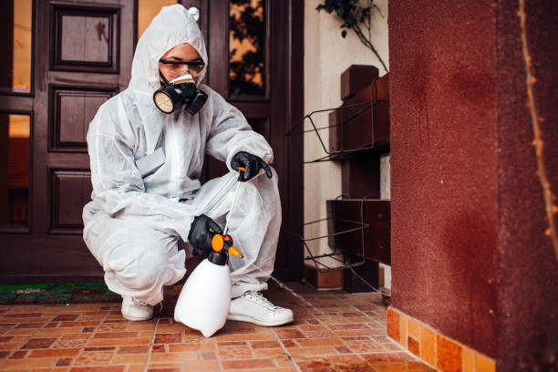 Reliable Termite Control contractor in Ozark, AR by Nex Pest Control