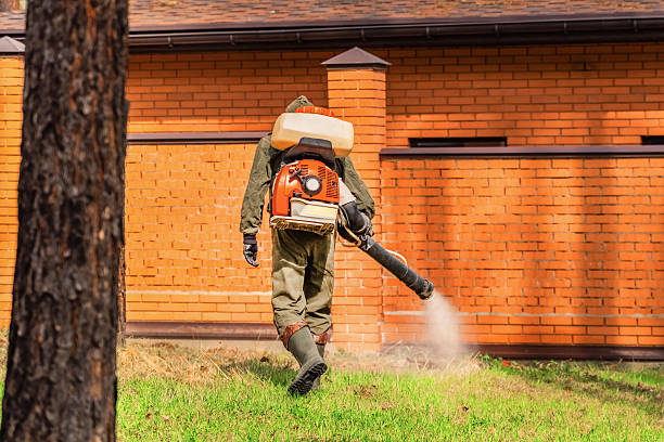 Top rated local Termite Control specialists in Ozark, AR